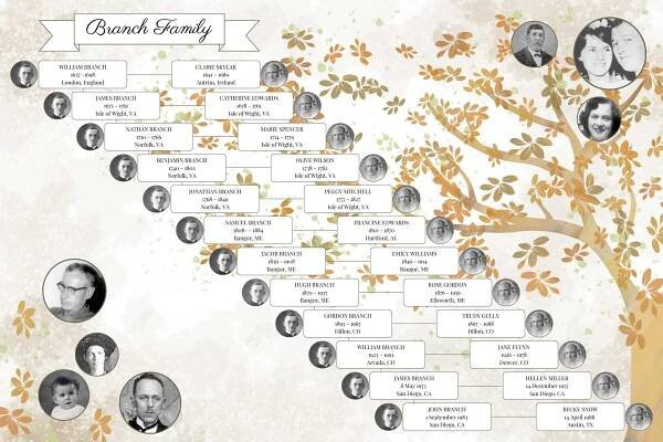 lineage-tree-OLIDA