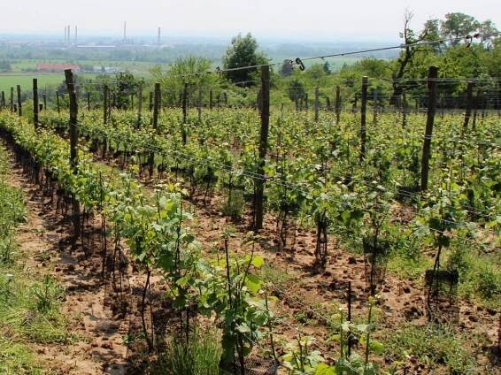 Česko patří mezi nejvyspělejší země světa. Přeskočilo Norsko i Švýcarsko