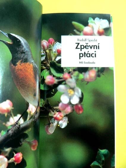 Zpěvní ptáci v lesích, parcích a zahradách Rehek Stehlík Zvonek (2000) | Aukro