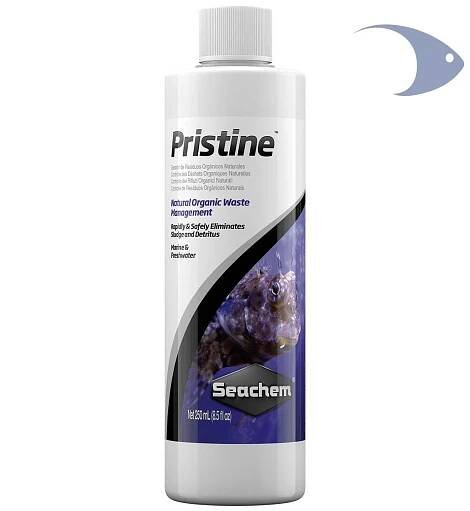Pristine