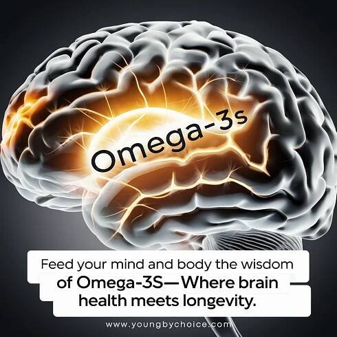 Feed your mind and body the wisdom of Omega-3s—where brain health meets longevity.