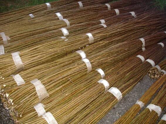 Willow Rods