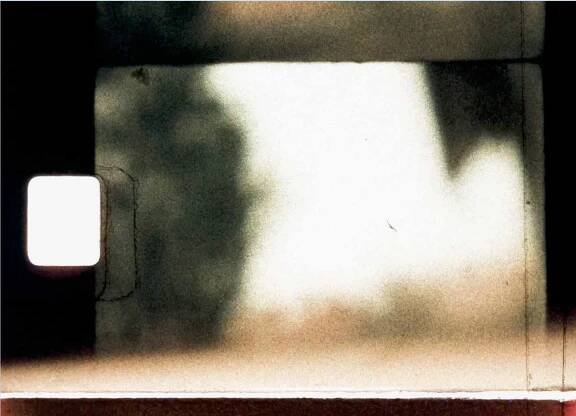 Films and Videos – SHERI WILLS
