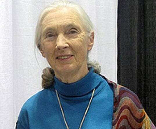 Jane Goodall Biography - Facts, Childhood, Family Life & Achievements