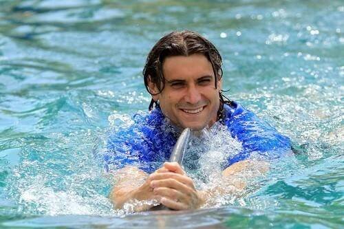 David Ferrer