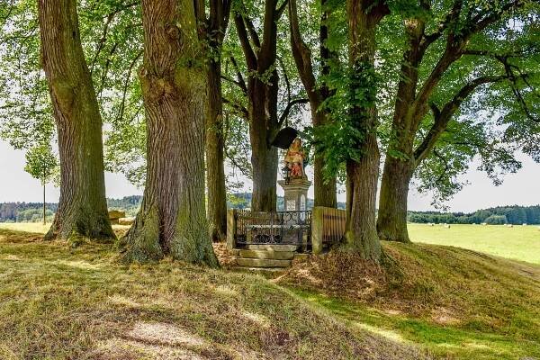Křížová stezka – Lipová – Lobendava - Bohemian Cottage - Ubytování & Wellness & Jóga & Půjčovna & Výlety - České Švýcarsko