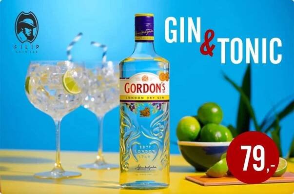 GORDON'S GIN TONIC