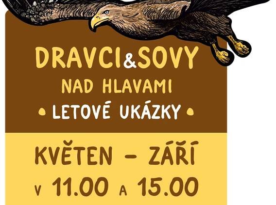 Dravci a sovy had hlavami – akce v zoo Jihlava – Zoologické zahrady v ČR