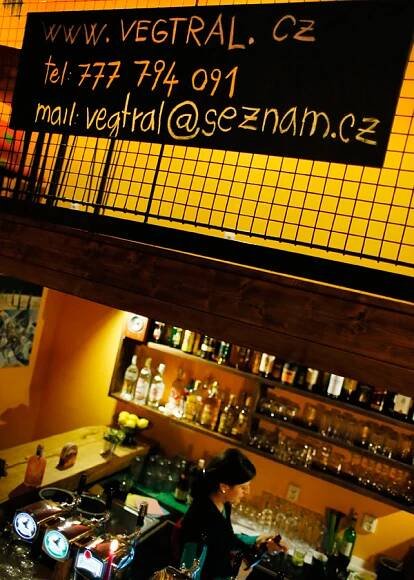 photos & art | vegtral bar restaurace
