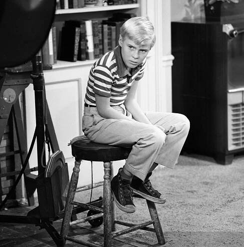 The Hollywood native is best known for playing the titular role in CBS sitcom Dennis the Menace, based on the Hank Ketcham comic strip, which ran for four seasons spanning 1959-1963