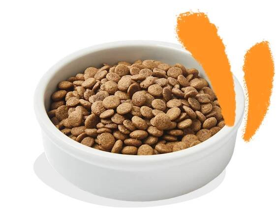 Product - Cat Adult Kibble Chicken