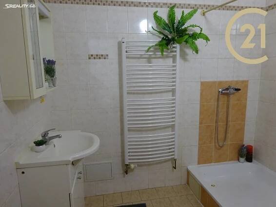 Pronájem bytu 1+kk 20 m² (Podkrovní), Palackého, Holešov