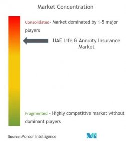 UAE Life Annuity Insurance Market Concentration