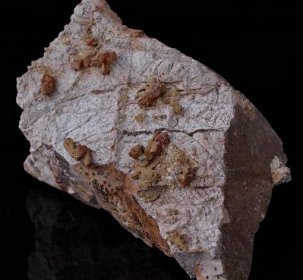 wulfenit 14 x 8 x 8cm - Minerály a zkameněliny