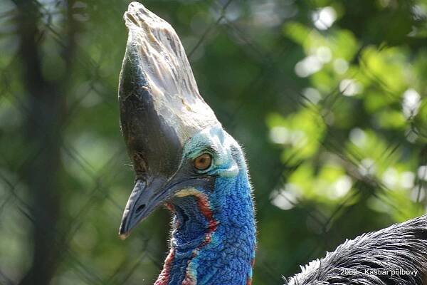 ZOO Praha – cokolivokoli.cz