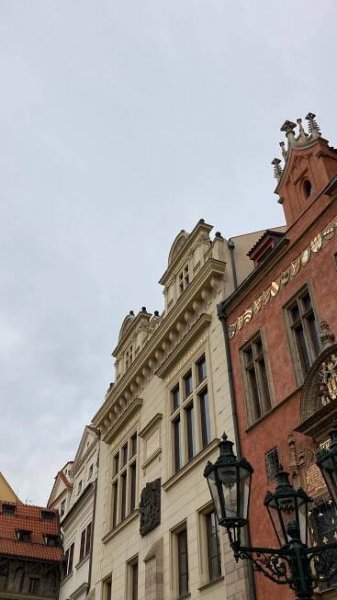 USE-IT Česká republika foto 2