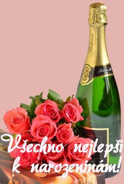 Klikněte pro zobrazení původního (velkého) obrázku
==============
Přání k narozeninám - kytice růží, sekt a bonboniera
Kytice růží, sekt a bonboniera růžové pozadí - přání a blahopřání k narozeninám foto květiny s textem v tiskové kvalitě ke stažení zdarma. Rozměry 17 x 11,5 cm pro obálku B6.
Klíčová slova: Přání k narozeninám