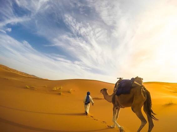 ranní pouštní safari dubaj ()
