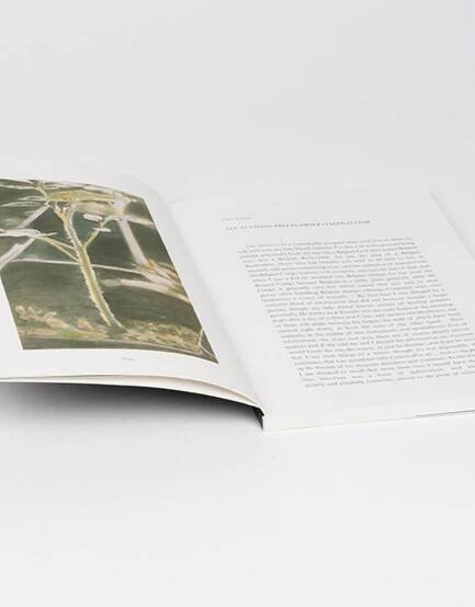 Luc Tuymans - catalogue Budapest & Warsaw