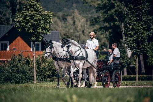 Hosté ubytování Hotel U Pekaře - Jítravský Dvorec