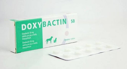 Doxybactin 50 mg, tableta