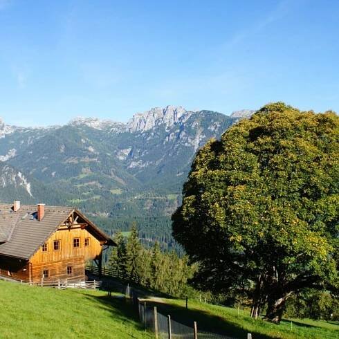 Dirtlerhof, Fam. Promok, Haus im Ennstal, Schladming-Dachstein