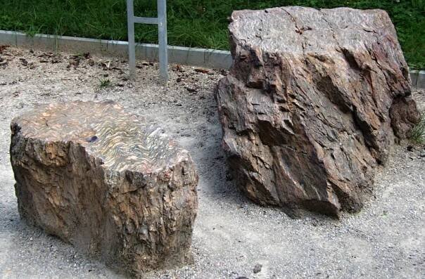 Geopark Přírodovědecké fakulty UK