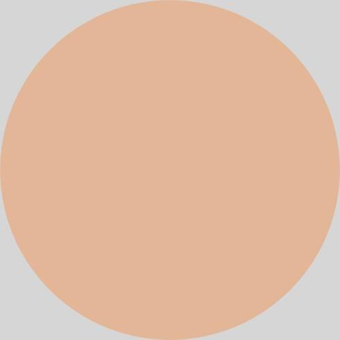 File:Orange dot (semi-transparent).png