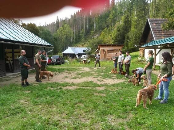 Výcvikový deň 2018 – Klub chovateľov duričov