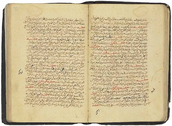 'Ali ibn al-'Abbas al-Majusi