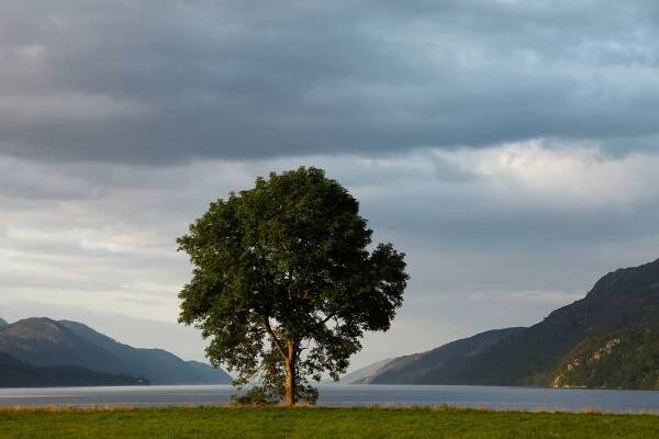 Schottland - Loch Ness - Die Welt der Fotografie