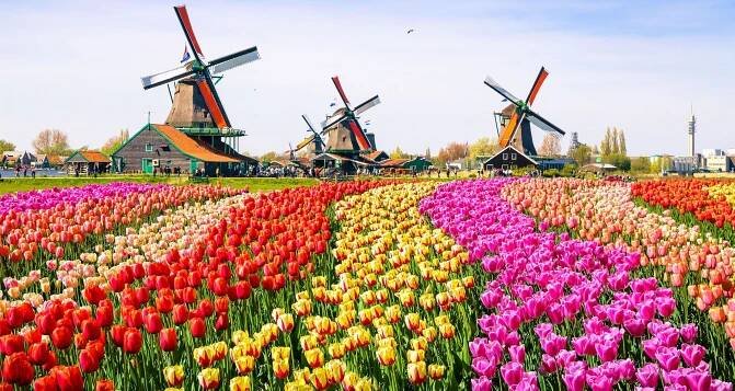 Keukenhof, Květinové korso