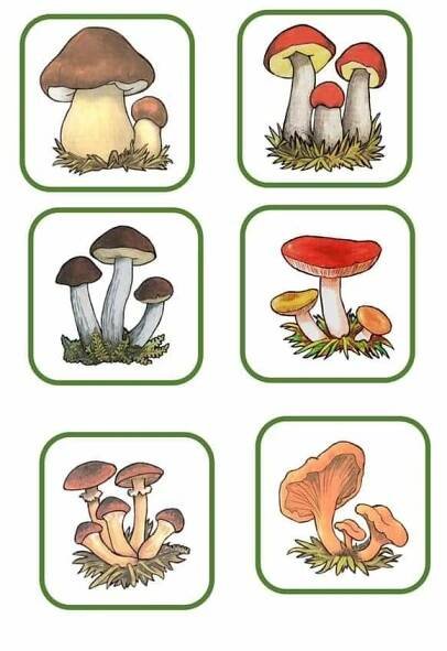 Fun Mushroom Matching Game for Preschoolers