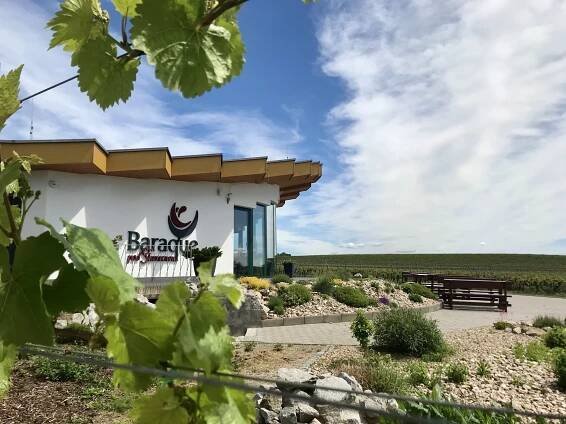 Degustace vína a tapas pro dva ve Vinařství Baraque