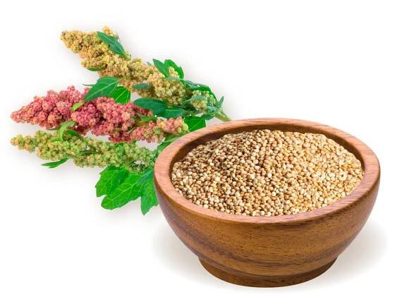 BioMenü bio Quinoa bílá 250g