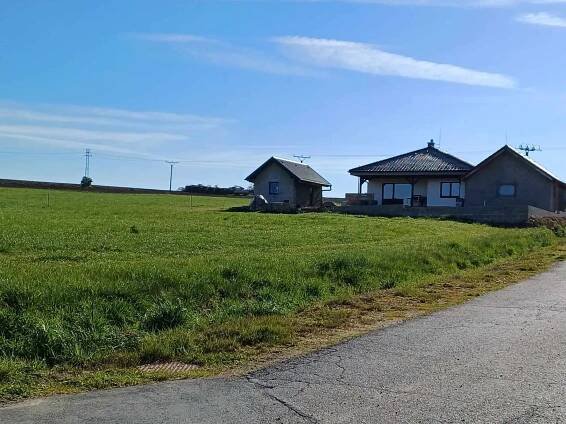 Prodej Pozemek, Nové Dvory, okres Žďár nad Sázavou