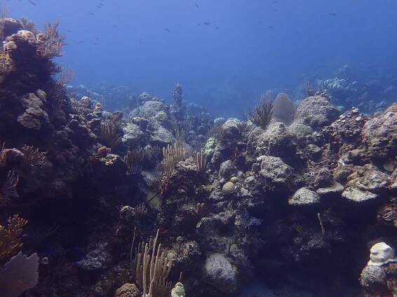 PA130137.JPG