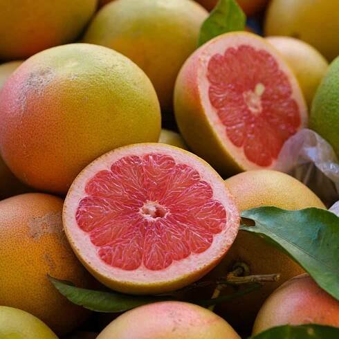 Grep, grapefruit, grepy, citrusy v těhotenství