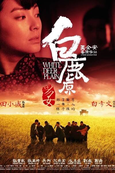 Bai lu yuan 63% [White Deer Plain] (2012)