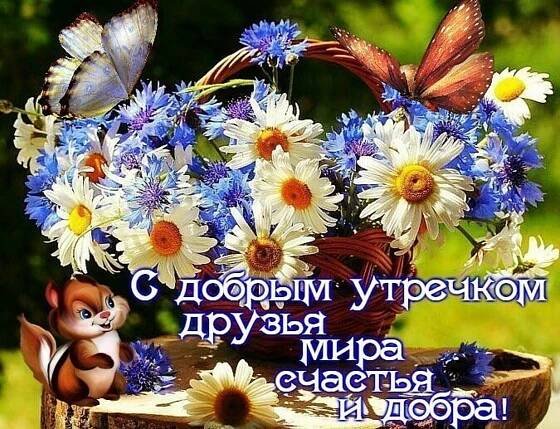 Добра с утра картинки