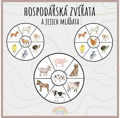 Hospodářská zvířata a jejich mláďata - Materiály dětem