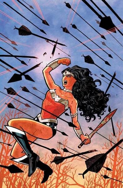 Absolute Wonder Woman - Brian Azzarello (EN) od 3 316 Kč