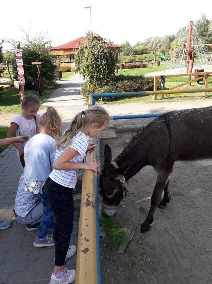 Výlet na Dětský ranč Hlučín | Základní škola a Mateřská škola Raduň, příspěvková organizace