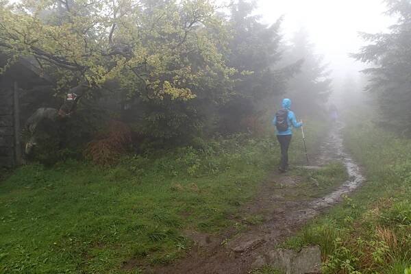 Kolečko po Jeseníkách aneb Jesenická 60 2013 | Naše toulání