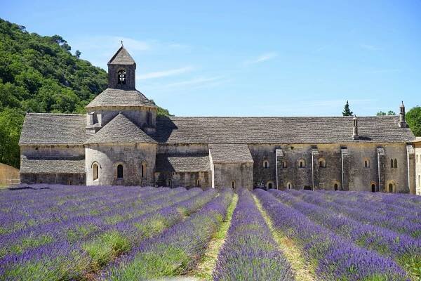 Levandulová Provence plná barev a vůní | - Francie 
