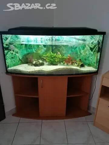 Rohové akvárium 250l
