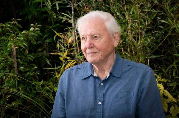David Attenborough Urges Leaders at COP26 Summit to ‘Rewrite Our Story’