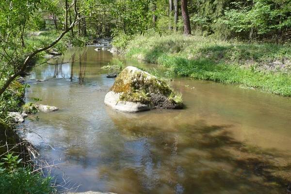 Škola v přírodě - IV.A | 20. Základní škola Plzeň