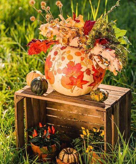 pumpkin used as a vase