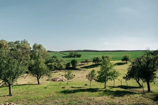 Hvožďany, Bechyně - Tábor | Prodej, Rodinný dům, 6+kk, 300 m²